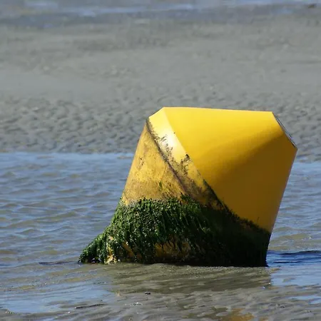 Vakantieapp Aan Zee